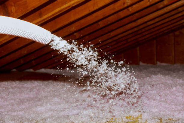 Best Attic Insulation Installation  in Union City, IN